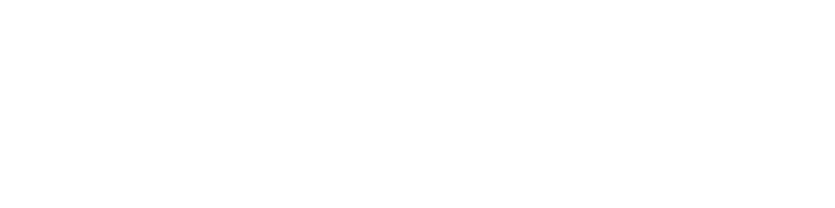 Payload Logo